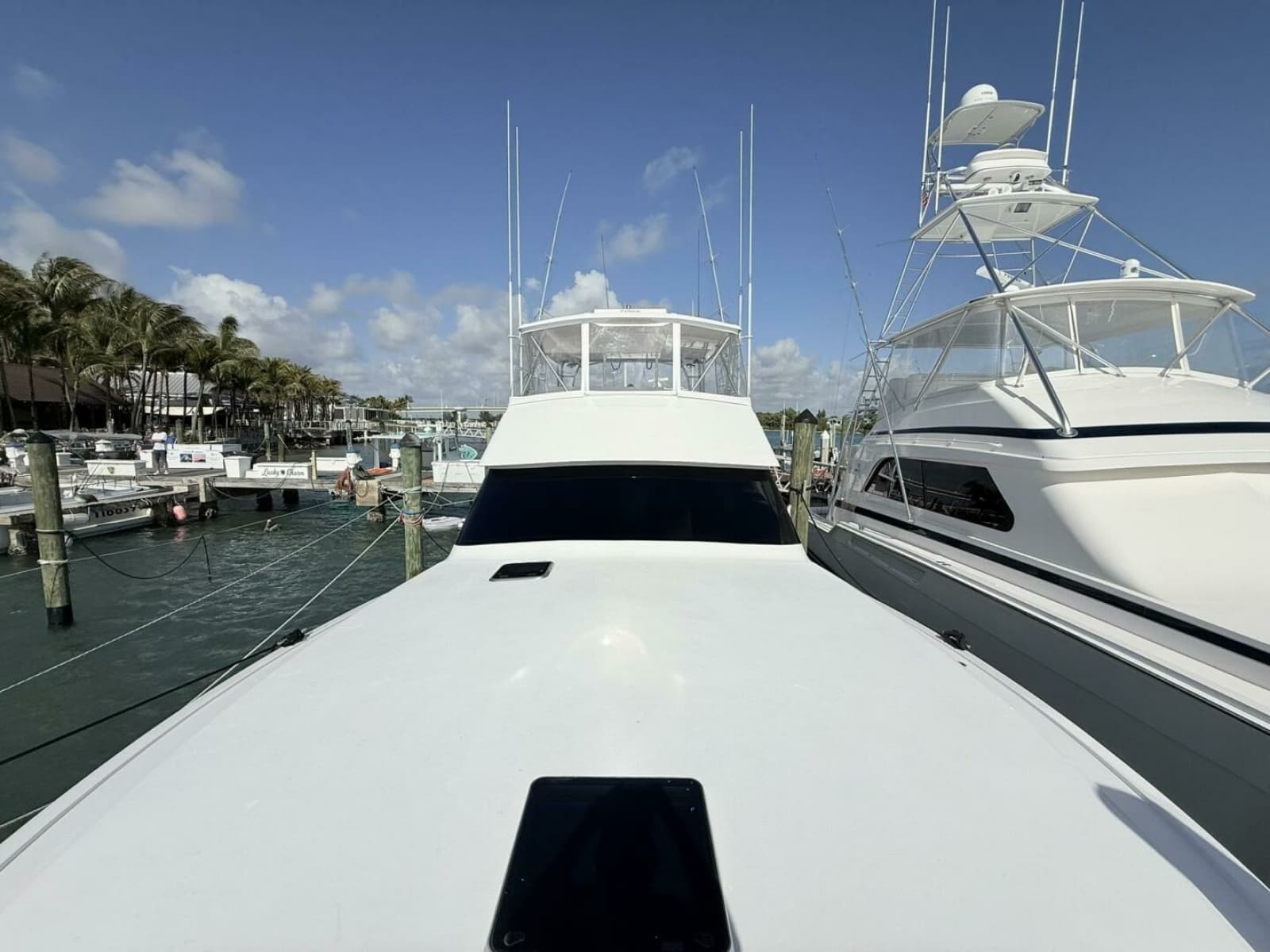 Viking 50 REEL LEGACY - Bow