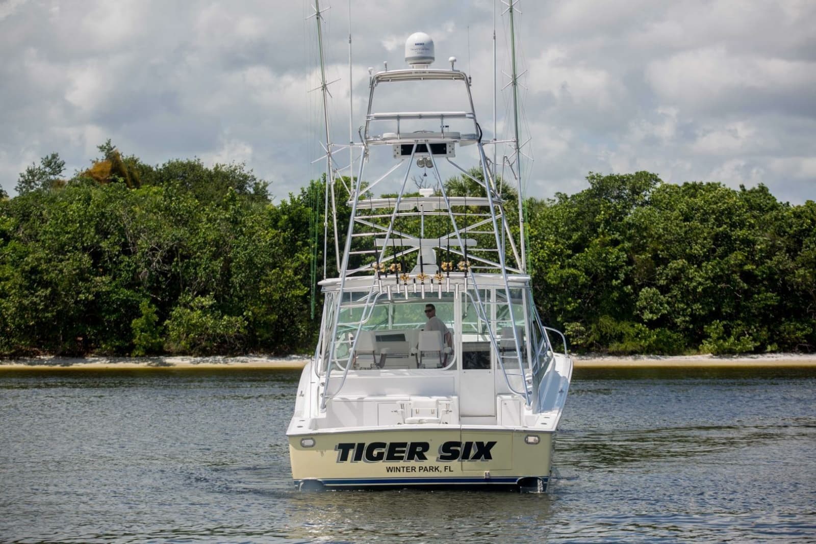 Viking 50 - Tiger Six - Exterior Profile