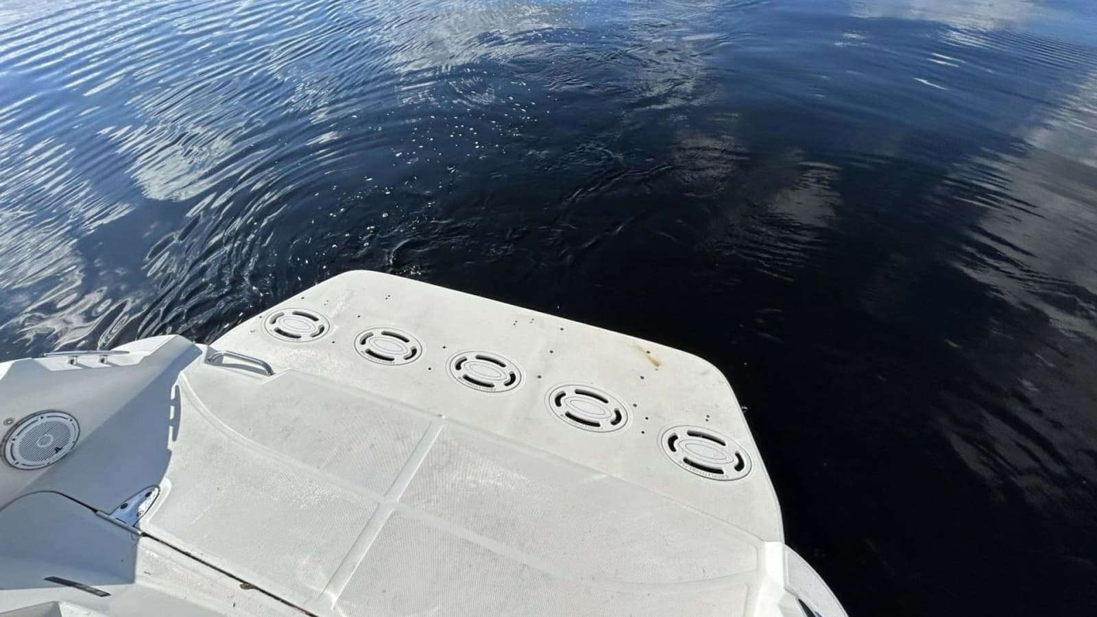 2009 Sea Ray 310 Sundancer Andrews Place Head Swim Platform