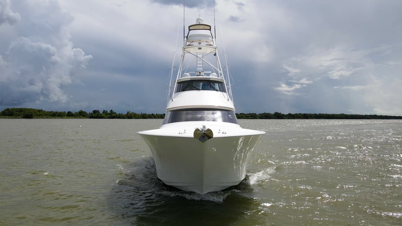 2017 72 Viking Enclosed Bridge Share-E Profiles (8)