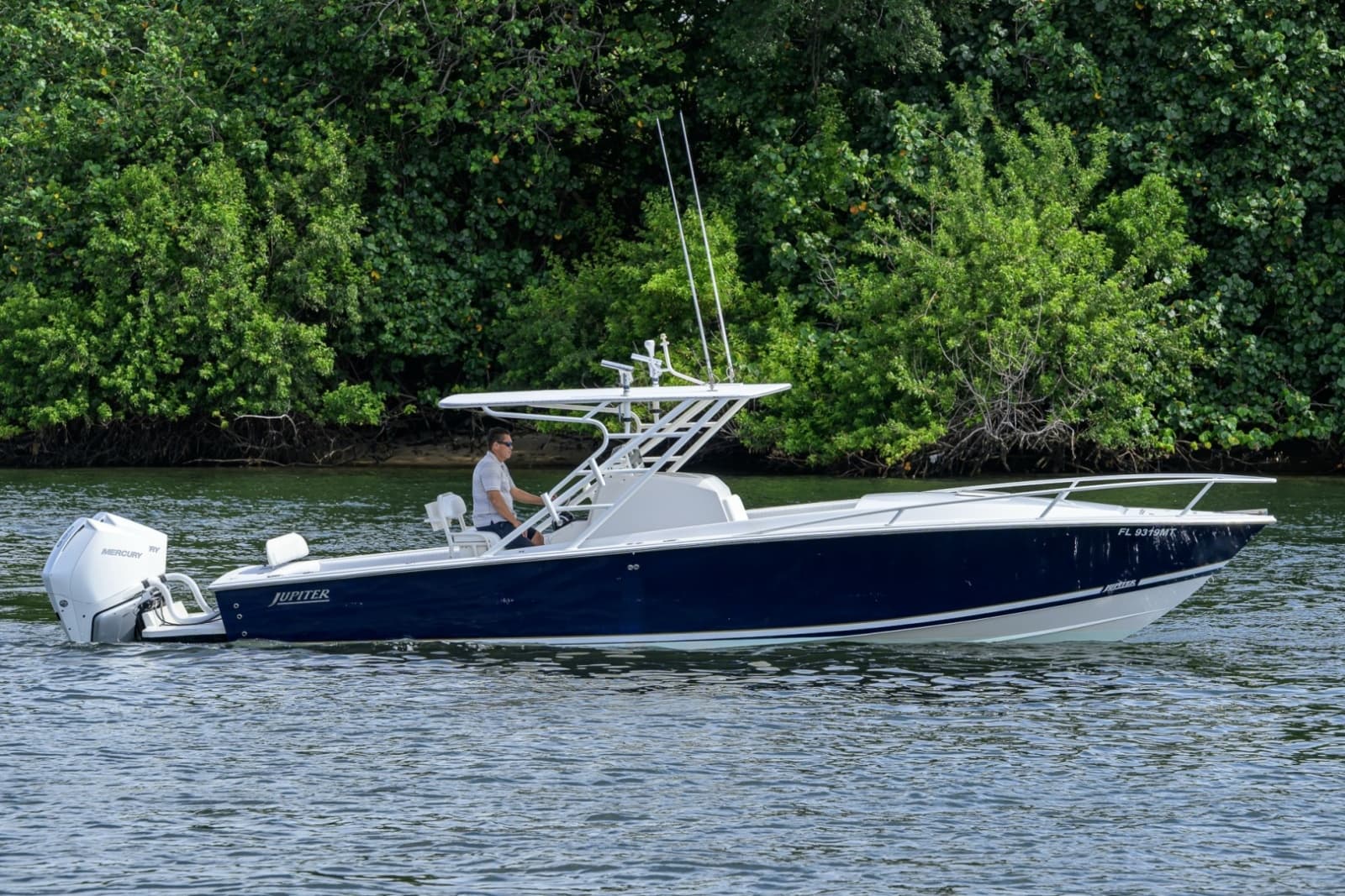 2003 Jupiter 31 Cuddy