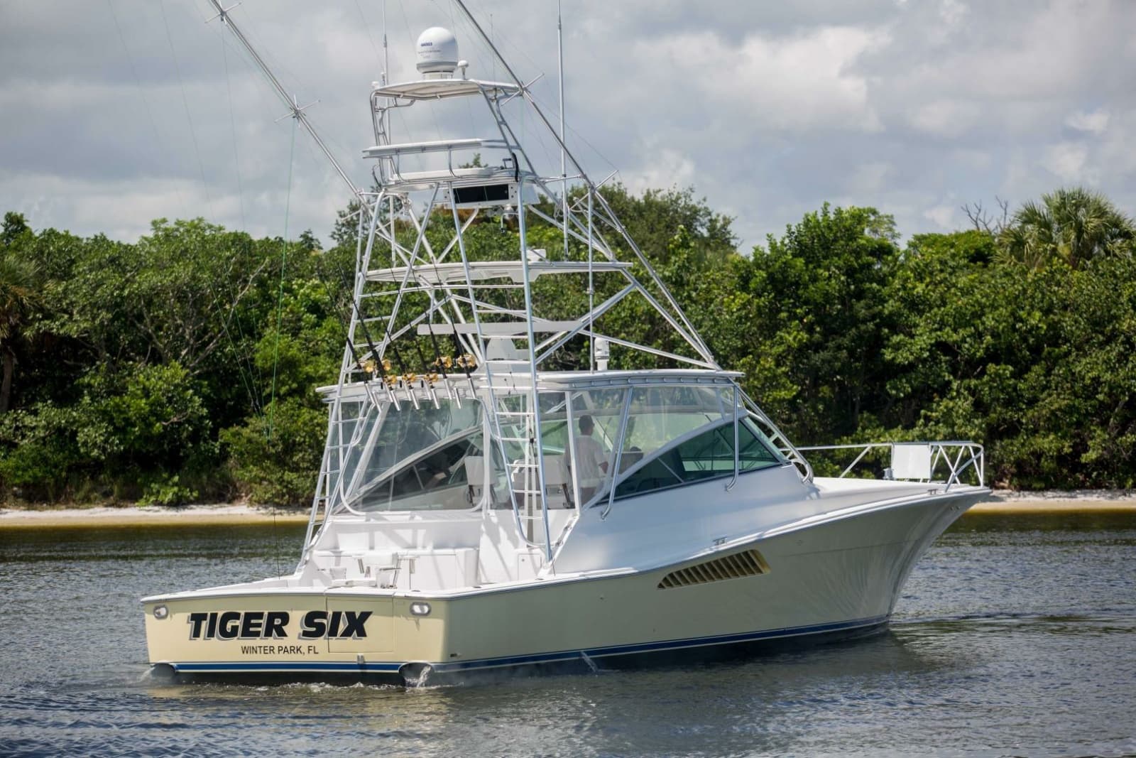 Viking 50 - Tiger Six - Exterior Profile