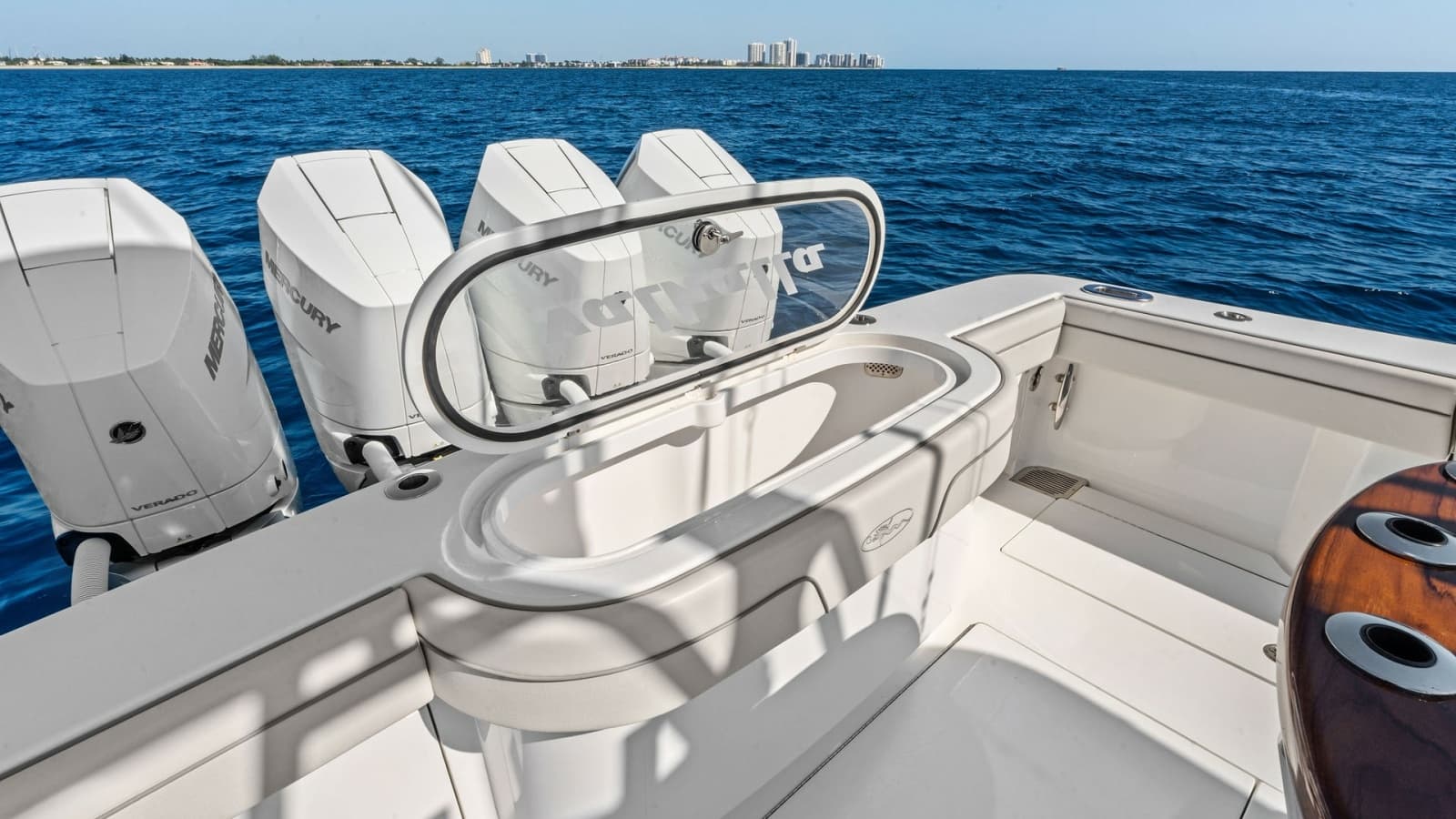 Aft Deck with Livewell and Engines