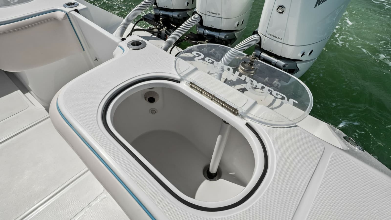 Aft Deck Live Well and Engines