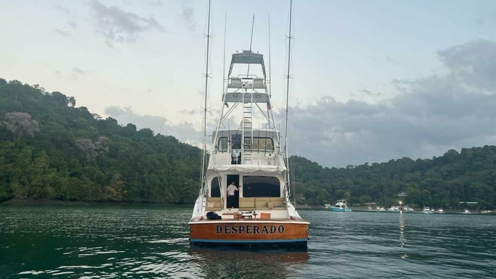 2008 77 Enclosed Bridge "Desperado"-Aft View