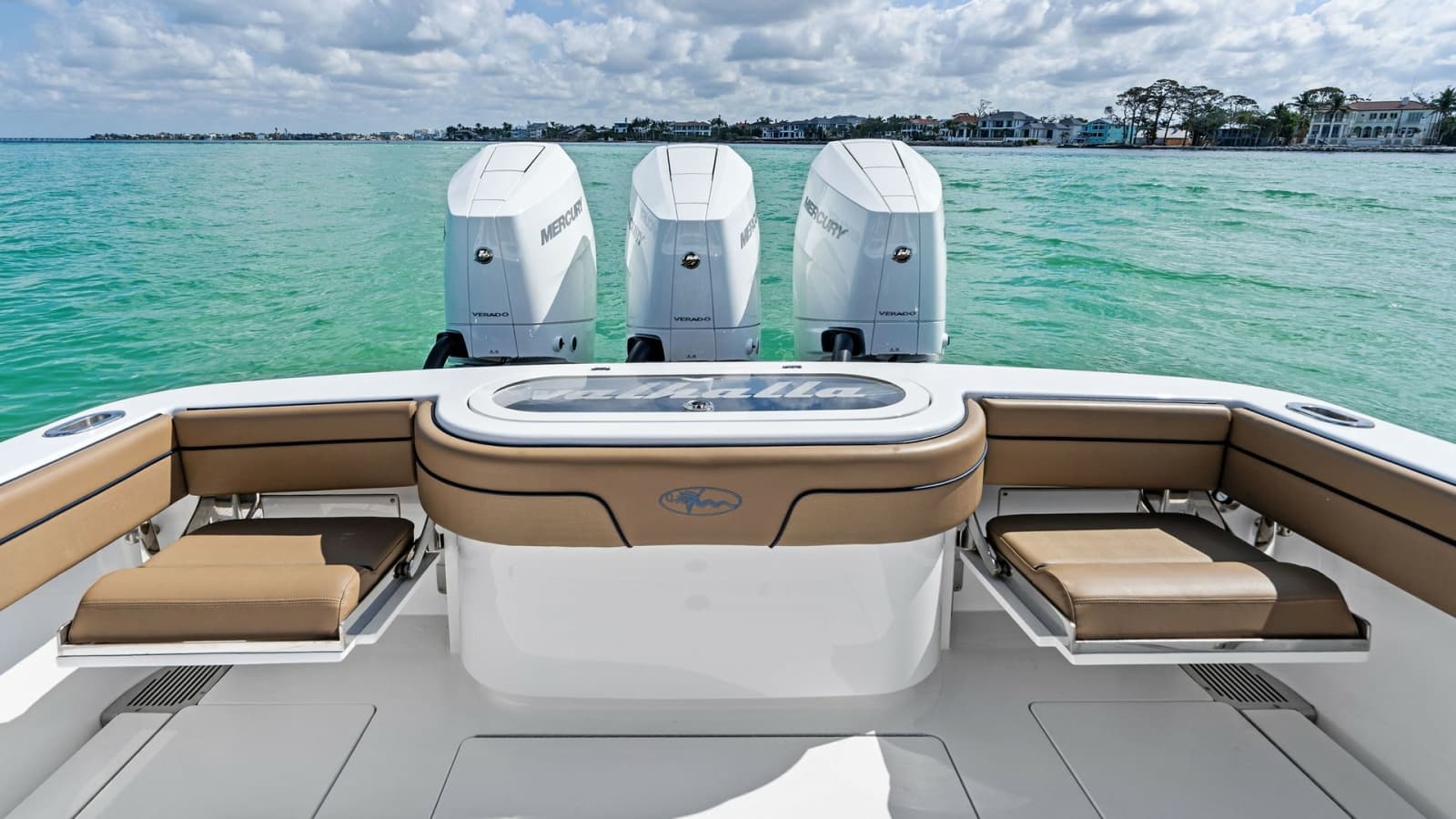 Aft Deck Seating and Engines