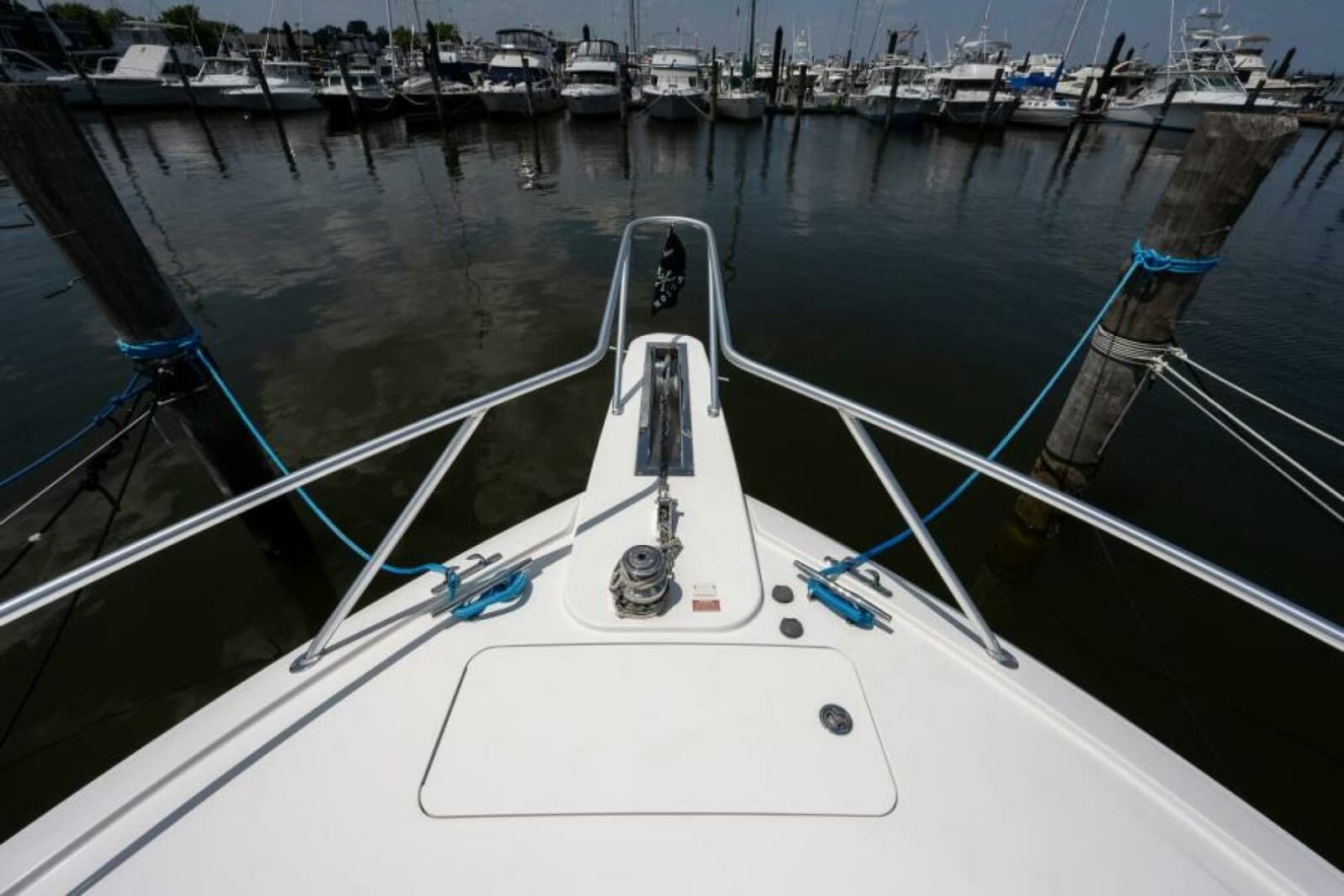 Viking 42 - Drop'Em  - Bow