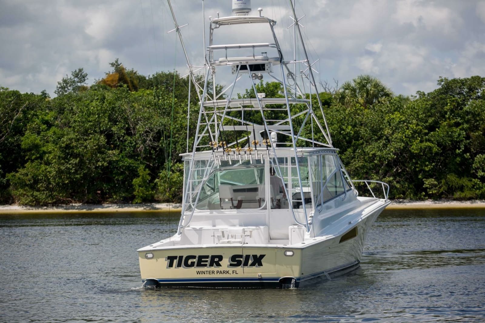 Viking 50 - Tiger Six - Exterior Profile