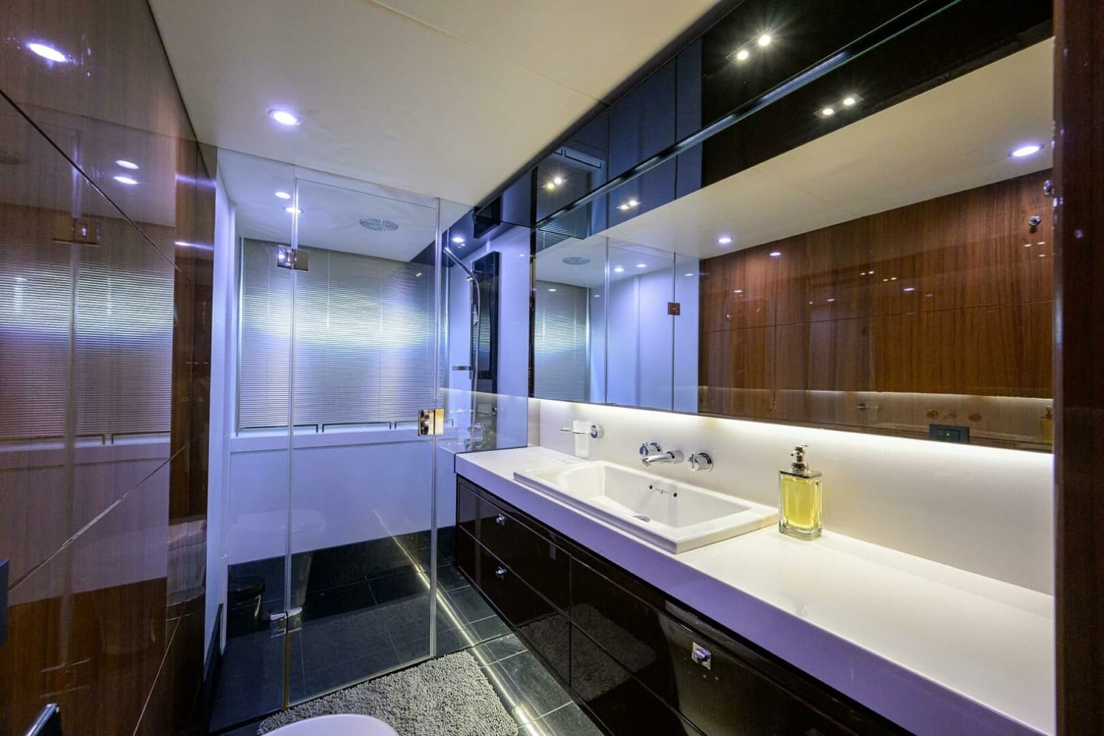 Princess 72 Policy Limits  - Interior Stateroom Head