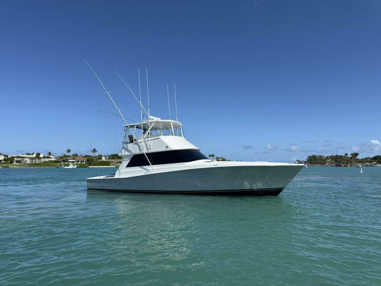 Viking 50 REEL LEGACY - Starboard Profile