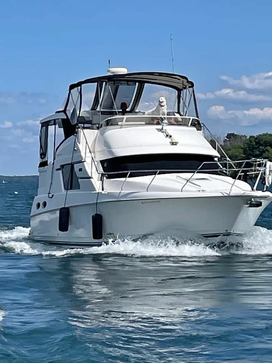 1999 Silverton 392 MY