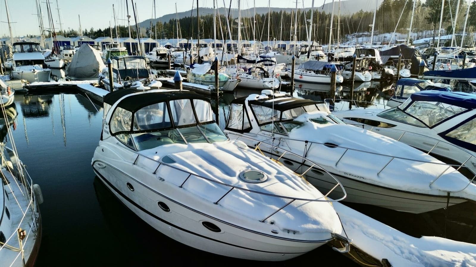 2006 Maxum 3100 SE