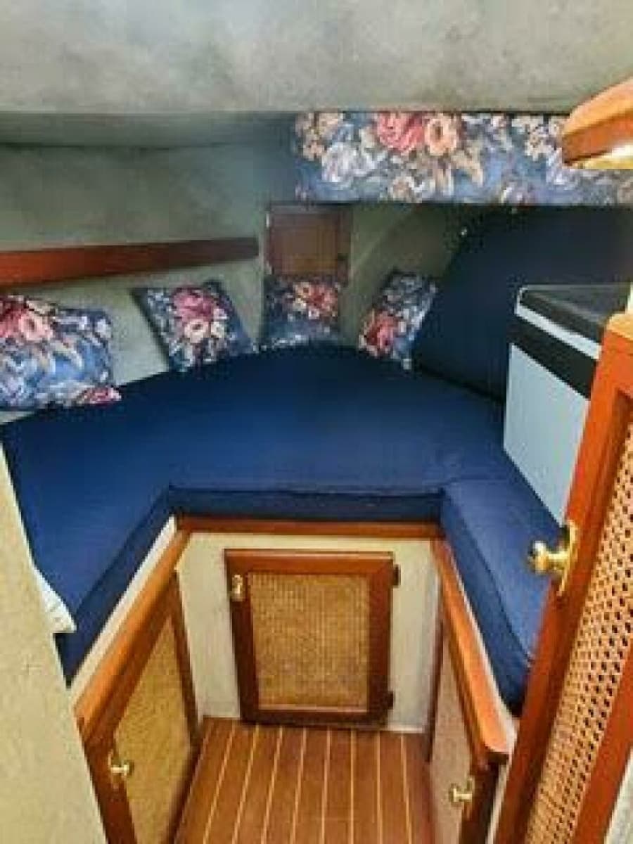 1986 Bayliner 3270 32