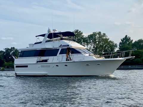 VIKING 55 MY