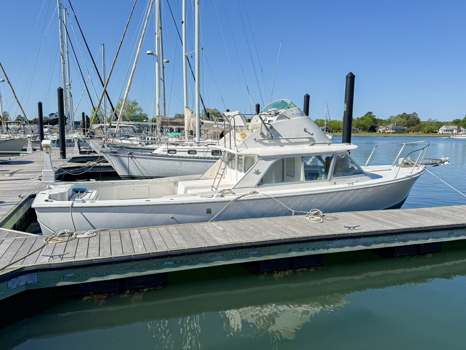 1972 Bertram Fly Bridge Cruiser