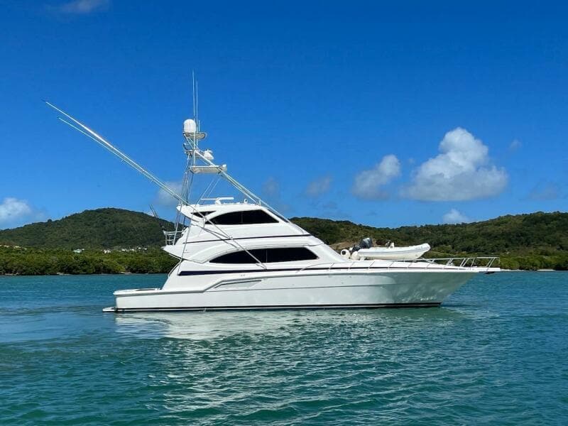 2004 Bertram 67