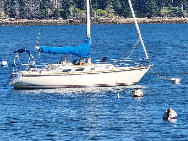 1980 Bristol 35.5C