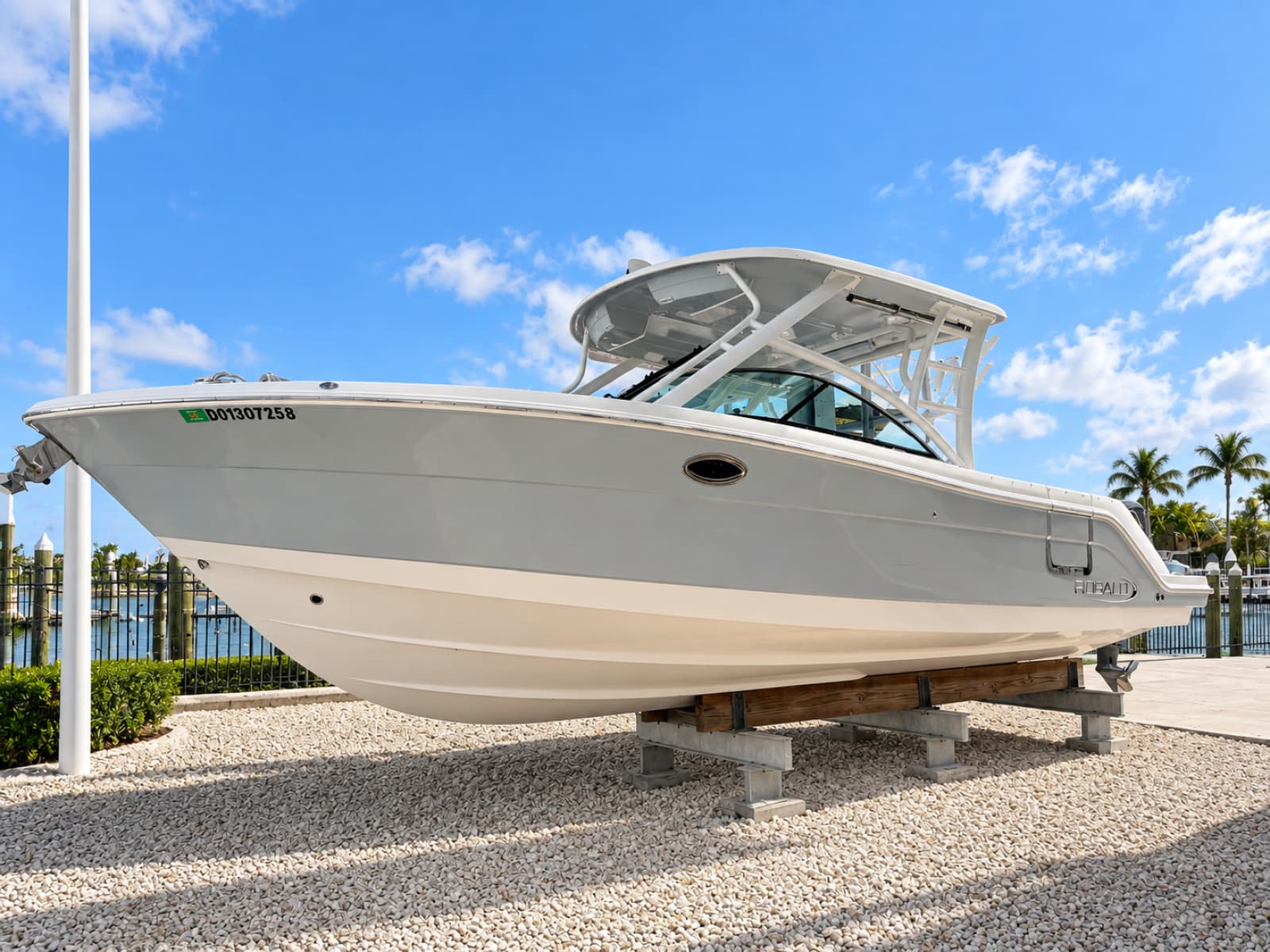 2019 Robalo