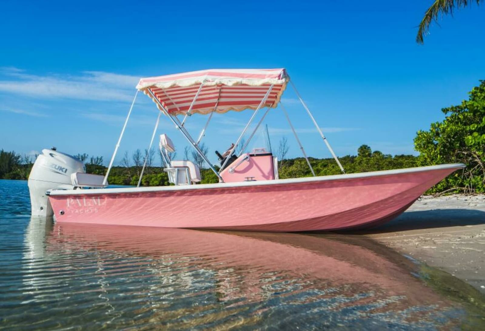 2027 Custom Palm Yachts 17
